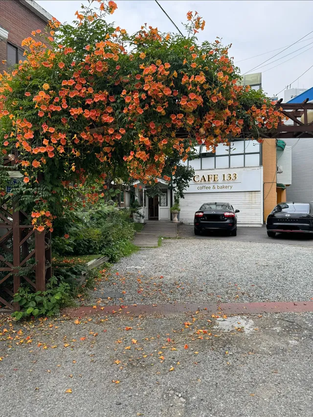 카페133 럭키백 사진