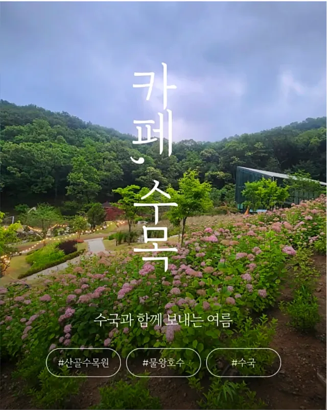 산골수목원 럭키백 사진