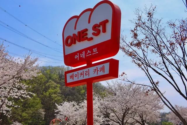 어네스트 광주초월점 럭키백 사진