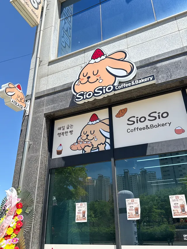 시오시오 럭키백 사진