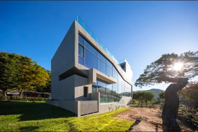 포프라 럭키백 사진