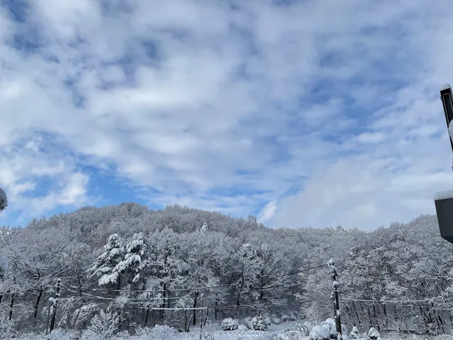 산골수목원 럭키백 사진