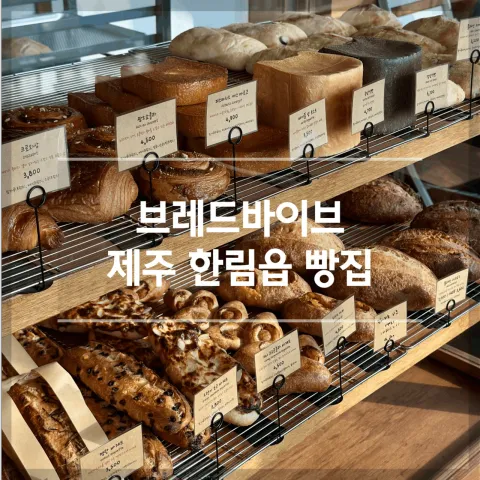 브레드바이브 럭키백 사진