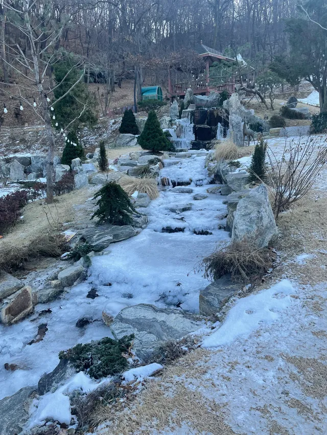 산골수목원 럭키백 사진