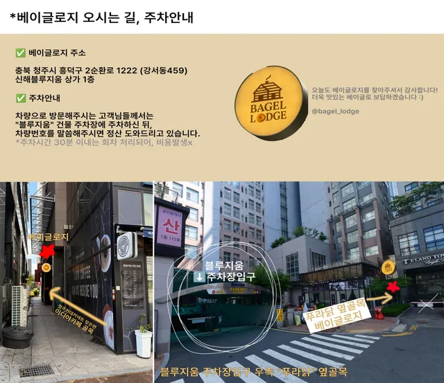 베이글로지 럭키백 사진