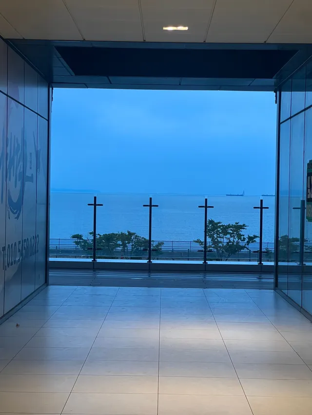 송베이 럭키백 사진